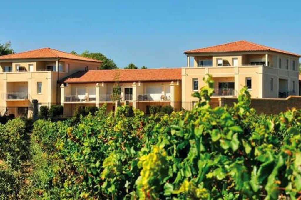 Le Soleil D Eugenie Appartement Dans Residence Avec Piscine Commune Pres De Carcassonne Olonzac Экстерьер фото