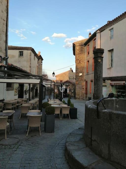 Le Soleil D Eugenie Appartement Dans Residence Avec Piscine Commune Pres De Carcassonne Olonzac Экстерьер фото