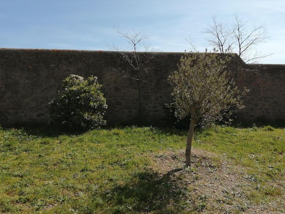 Le Soleil D Eugenie Appartement Dans Residence Avec Piscine Commune Pres De Carcassonne Olonzac Экстерьер фото